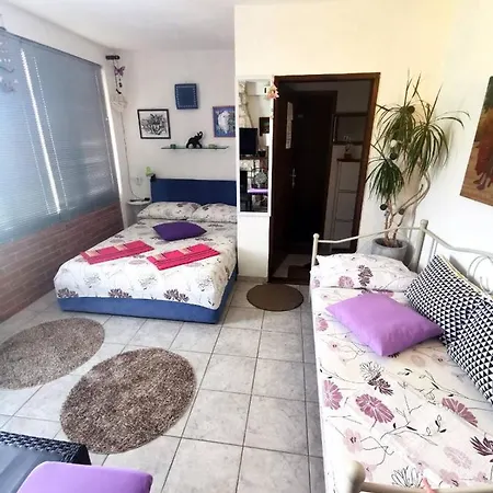 Lily Apartment