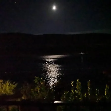 Lily * Neum